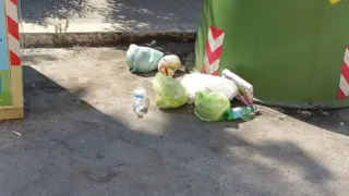 Via Sansovino, ancora rifiuti abbandonati e nessuna soluzione concreta